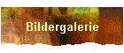 Bildergalerie