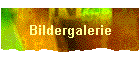 Bildergalerie